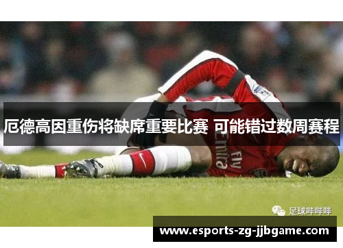 厄德高因重伤将缺席重要比赛 可能错过数周赛程 厄德高因重伤将缺席重要比赛 可能错过数周赛程